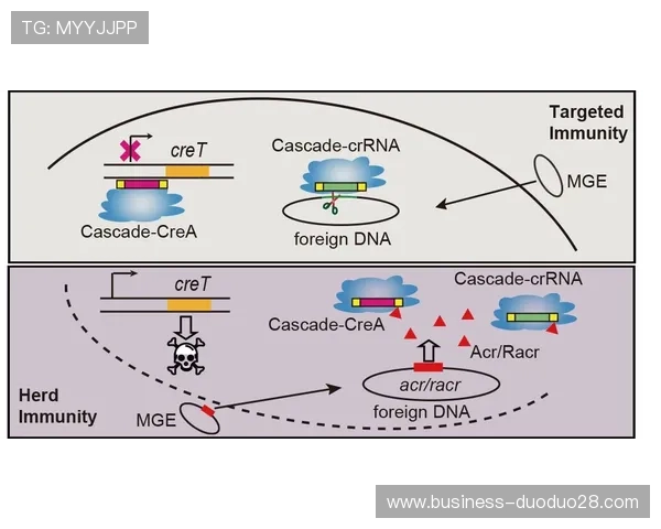 皇家社会俱乐部最新动态揭示球队新赛季战略调整与球员培养计划